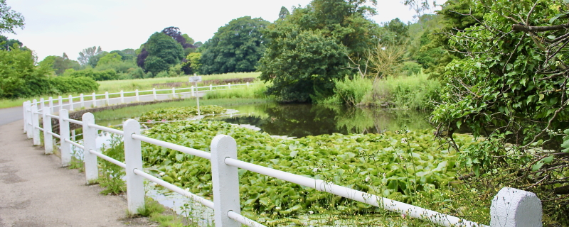Village 2